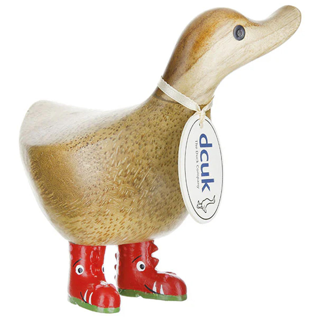 DCUK Wild Wellies Duckys Dinosaur front