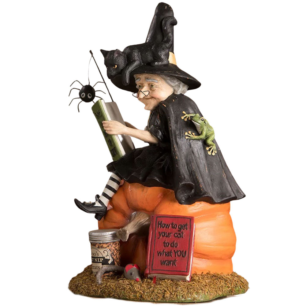 How to Train Your Black Cat Halloween Figurine by Bethany Lowe side