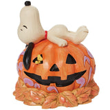 Jim Shore Snoopy Laying ontop of Carved front