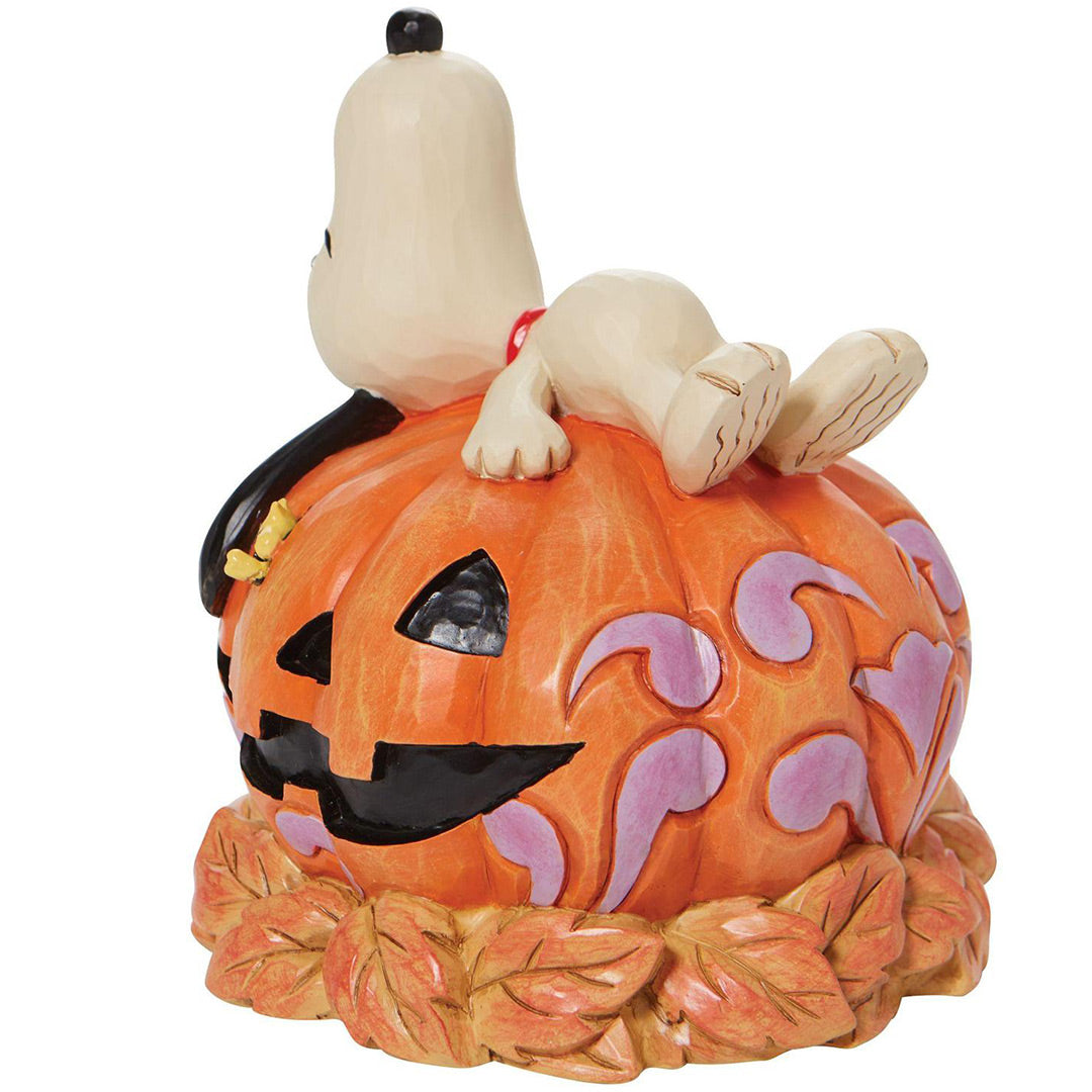 Jim Shore Snoopy Laying ontop of Carved right side