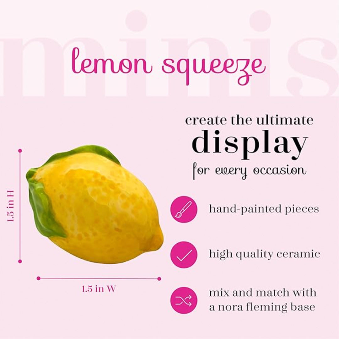 Nora Fleming Lemon Mini instructions 1